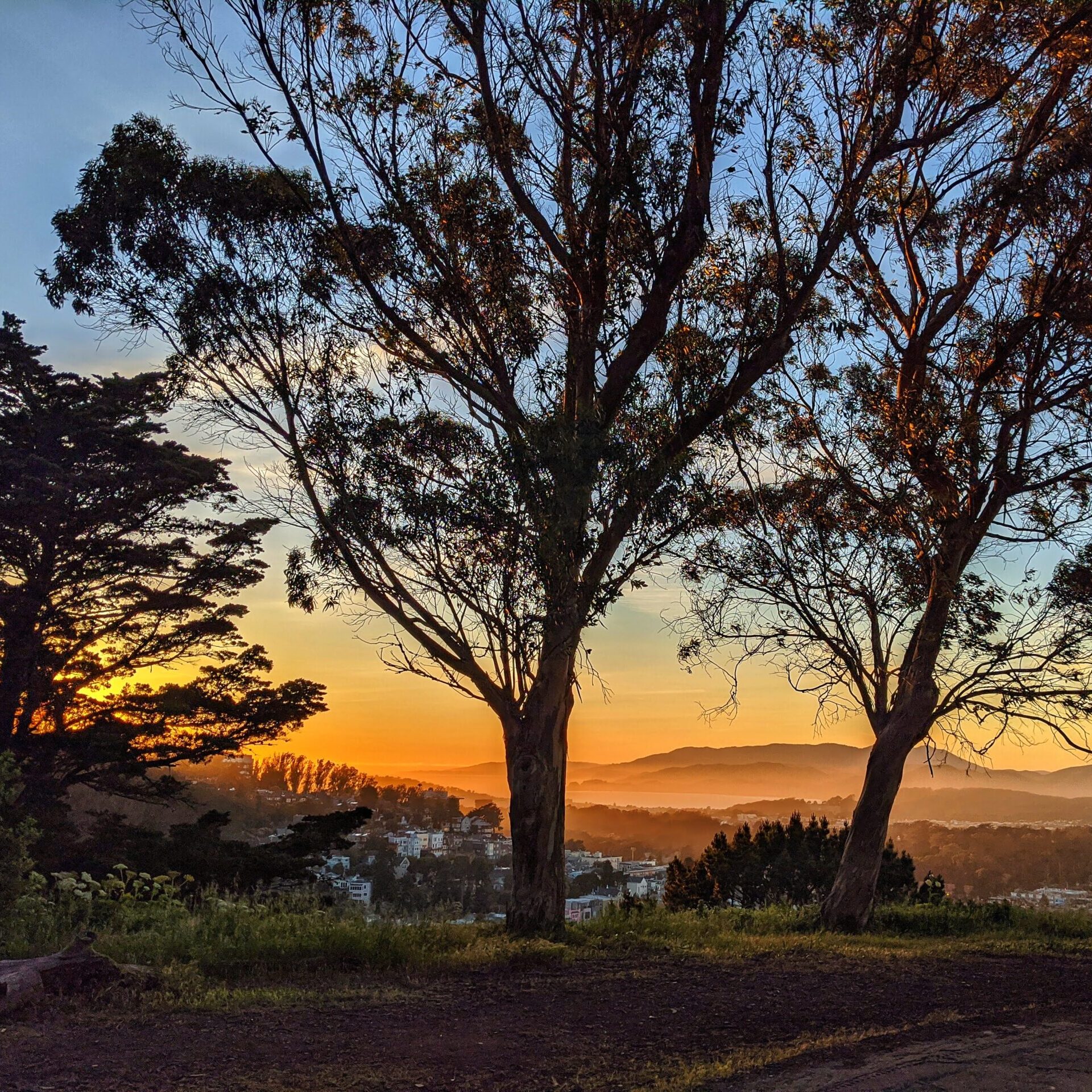 View from Tank Hill in San Francisco at dusk with the word "Contact" on top of it. #ADHD #ADHDSupport #ADHDCoaching #LifeCoaching