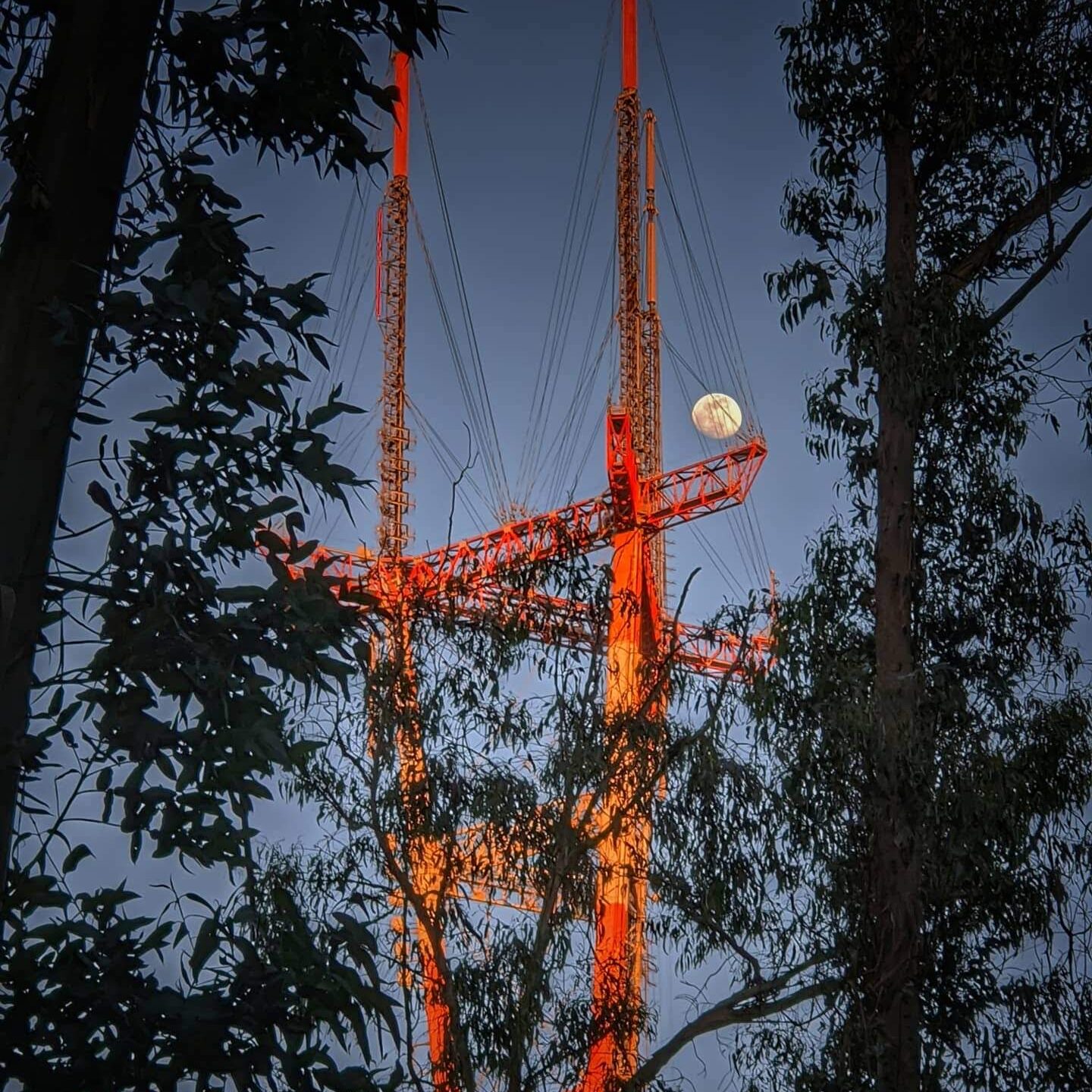 Picture of Sutro Tower between the silhouette of trees with a full moon. #ADHD
